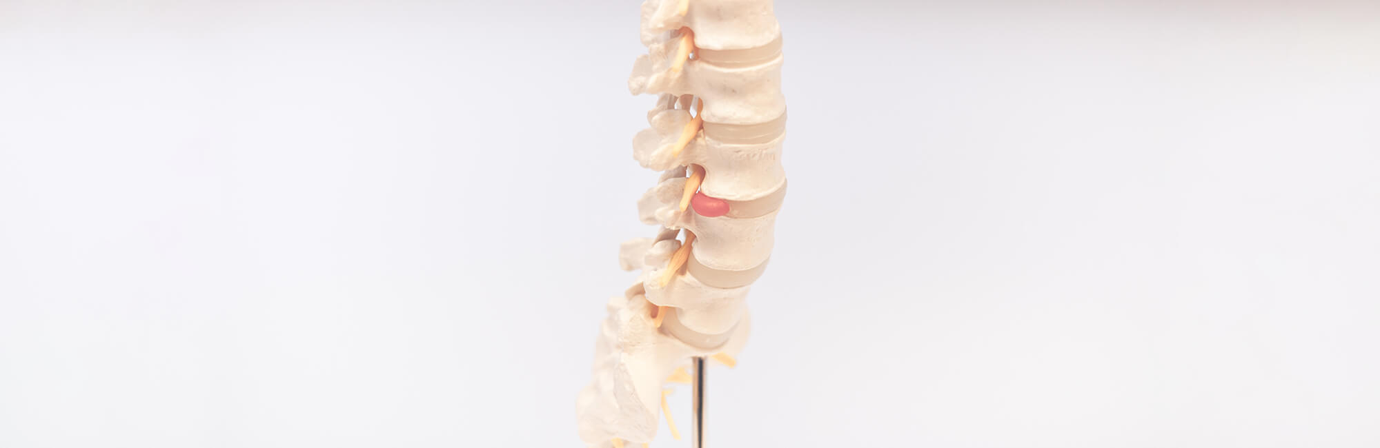 Orthopädie Wannsee – Harbrecht – Leistungen Slider Orthopädie Wannsee - Harbrecht - Leistungen Slider